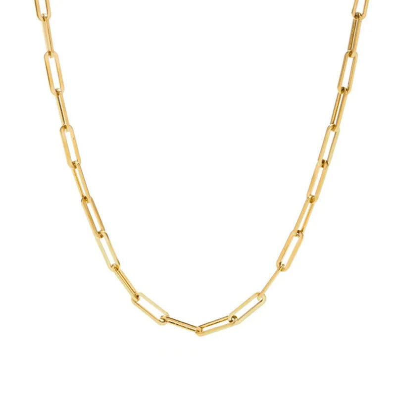 The Golden Links Necklace